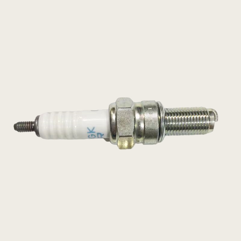 Original Motorcycle Spark Plug - đánh giá và giá Motorcycle Spark Plug